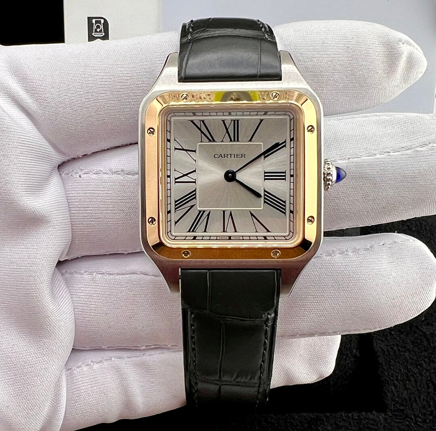 Cartier Dumont W2SA0046 new 2026 Quartz 43.5x31.4mm